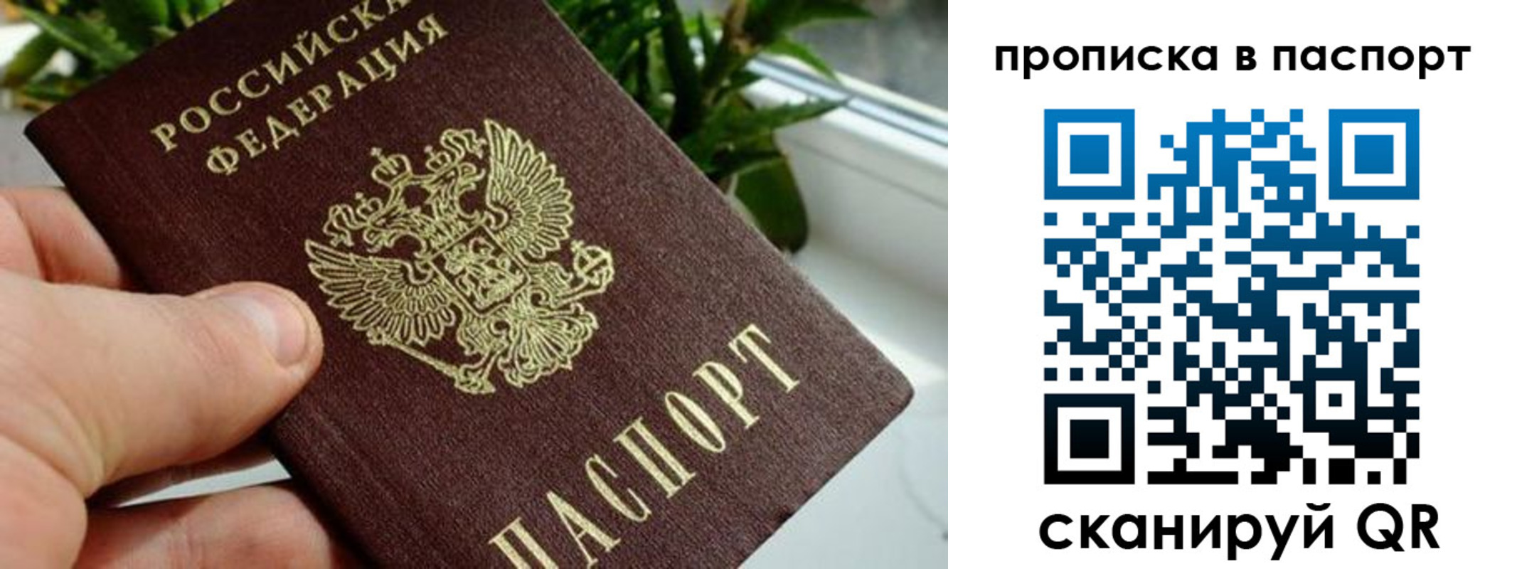 пропишу в квартире в Николаевске